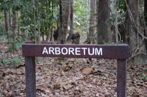 frim-pasoh-arboretum