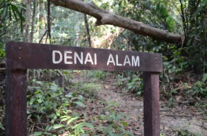 frim-pasoh-denai-alam