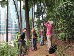 Bukit Nanas plant species