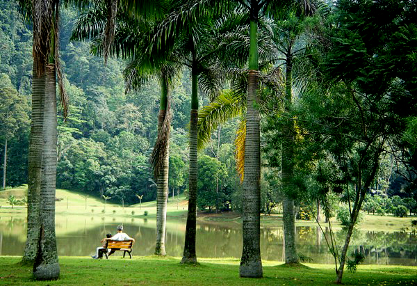 Taman Botani Kepong – Institut Penyelidikan Perhutanan 