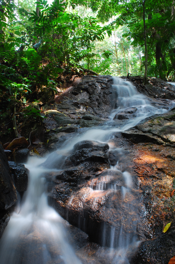 Karangan berkelah di air terjun