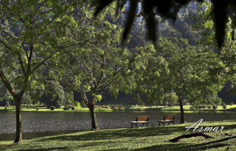 Taman Botani Kepong