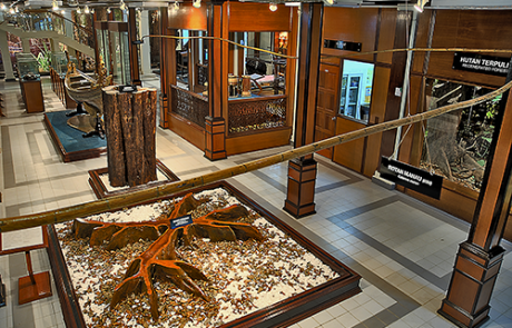 gallery frim