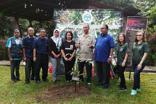 Ecobuzz Programme