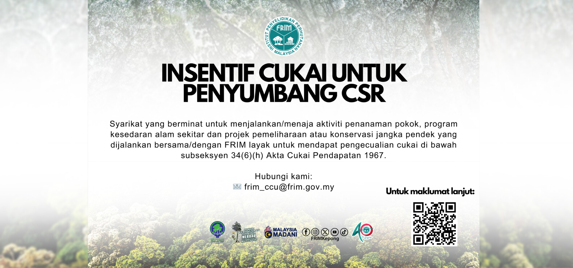 Insentif cukai