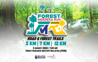 fOREST mERDEKAN rUN 2026