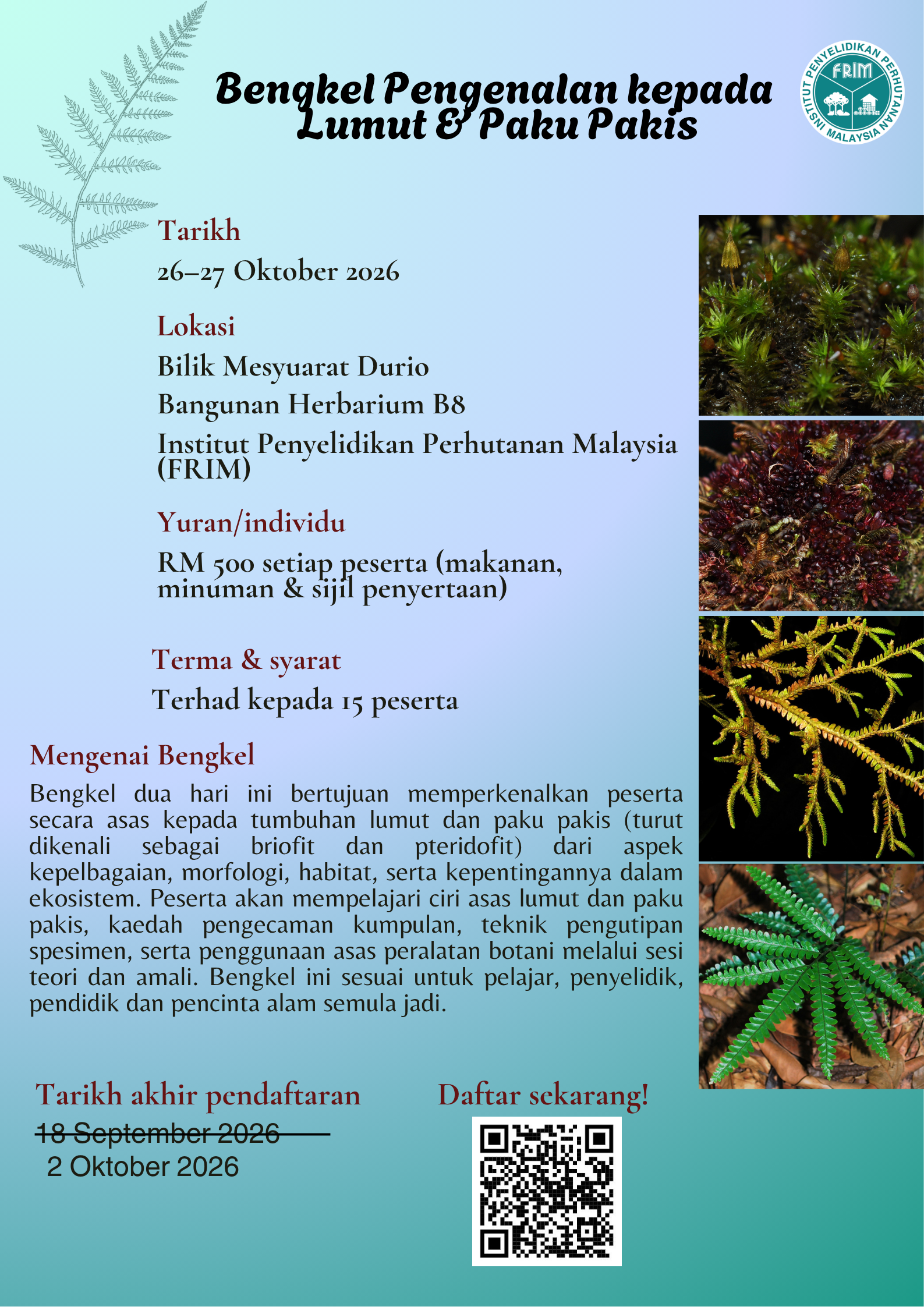 Poster Lumut Paku Pakis
